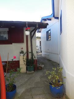 Cap Ferret: Herbe e la rue des chiens qui dorment