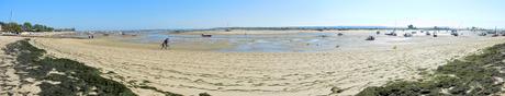 Cap Ferret: Herbe e la rue des chiens qui dorment