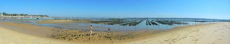 Cap Ferret: Herbe e la rue des chiens qui dorment