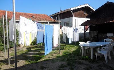 Cap Ferret: Herbe e la rue des chiens qui dorment