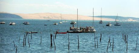 Cap Ferret: Herbe e la rue des chiens qui dorment