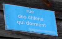 Cap Ferret: Herbe e la rue des chiens qui dorment