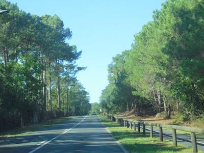 Cap Ferret: Herbe e la rue des chiens qui dorment