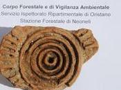 Forestale scopre sito archeologico nell'oristanese.