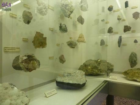 Segui Fossy – Percorso accessibile al Museo di Storia Naturale