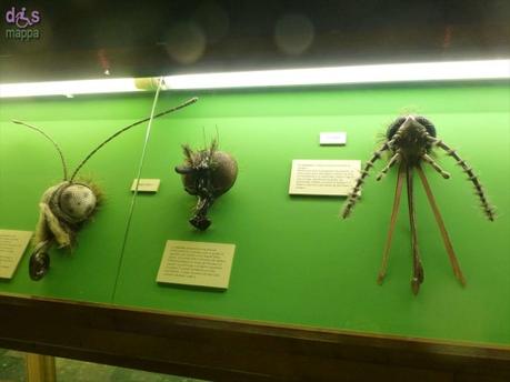 Segui Fossy – Percorso accessibile al Museo di Storia Naturale
