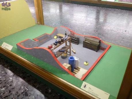 Segui Fossy – Percorso accessibile al Museo di Storia Naturale