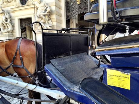 Vienna. Un altro pianeta raggiungibile con meno di due ore di volo. Tante foto per fare un confronto