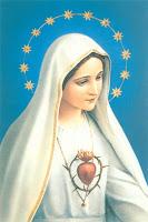 Schema a punto croce: Sacro Cuore di Maria_5