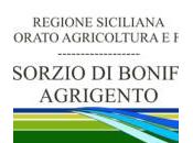 Consorzio Bonifica Agrigento “acqua” tutte parti