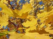 Autunno pittore