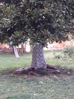 urban knitting a Padova....