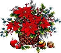 Speciale Natale: Quadretto con stella di natale a punto croce