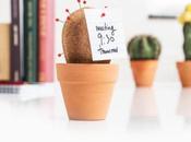 Cork Cactus: gadget ufficio rallegrare scrivania sobria