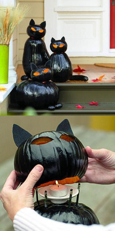 zucche-halloween-gatto