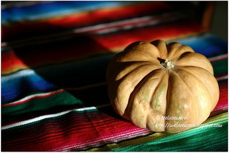 zucca di halloween