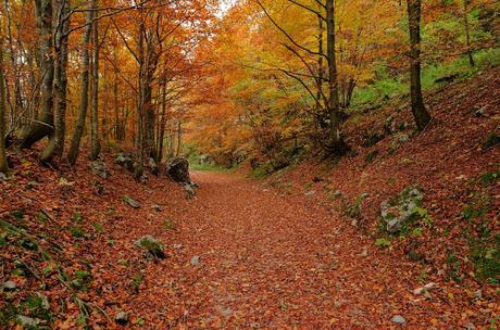 Autunno nella Valle di Uccea