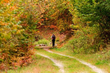 Autunno nella Valle di Uccea