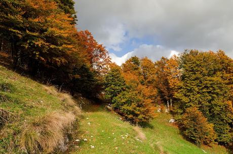 Autunno nella Valle di Uccea