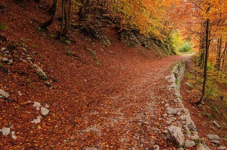 Autunno nella Valle di Uccea