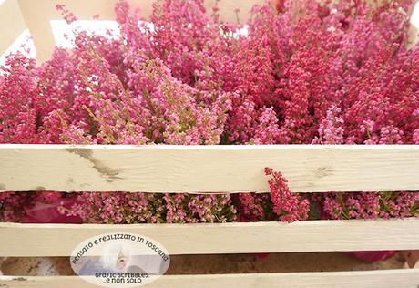 Erica Gracilis - Color Palette of 17/10/2015