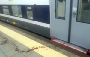 Villapizzone Trenord (Foto © ilfattoquotidiano.it)