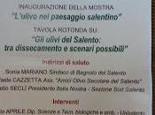 Tavola rotonda ulivi salento: disseccamento scenari possibili. Bagnolo Salento Sabato ottobre