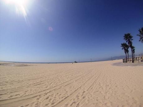 Venice beach