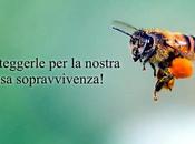 decide crepano forse anche noi!