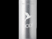 Holy, nuovo Wellness Drink