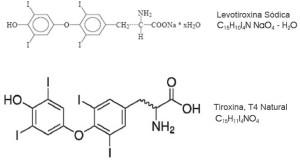 MILANO. Ricercatori italiani presentano studio sul trattamento del’ipotiroidismo al Congresso dell’American Thyroid Association.
