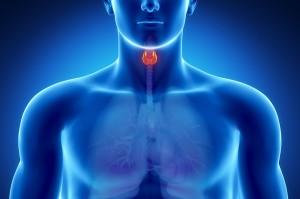 MILANO. Ricercatori italiani presentano studio sul trattamento del’ipotiroidismo al Congresso dell’American Thyroid Association.