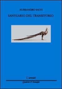 Alessandro Salvi, Santuario del transitorio