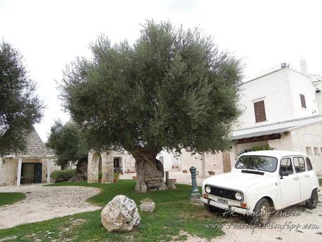 Viaggio in Puglia: Trulli e Masserie della Valle D'Itria