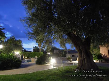 Viaggio in Puglia: Trulli e Masserie della Valle D'Itria