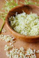 Primi freddi: sambuco e salice contro i malanni d'autunno