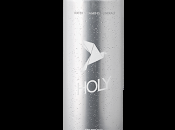 Holy: nuovo Wellness Drink