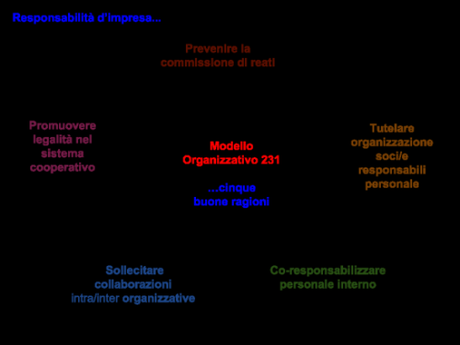 Cinque buone ragioni 231