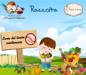 raccolta-ottobre