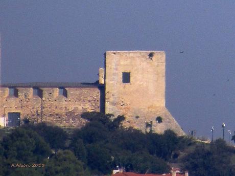 Il castello di San Michele 1905-2015