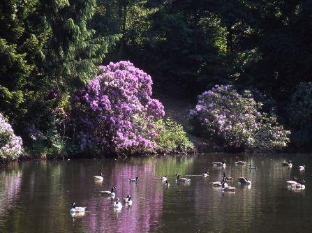 ♚ NOBLE MANSIONS AND CROWNS ♚ HRH Princess Mary & Harewood House and Gardens.