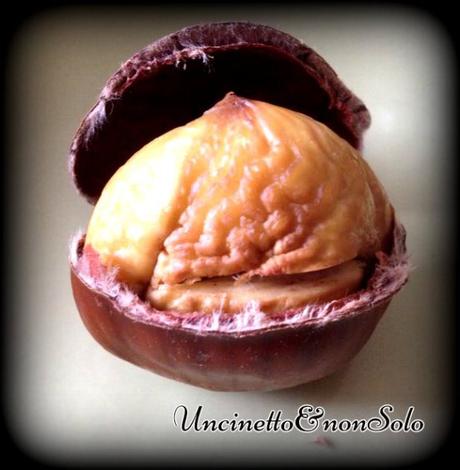 12170162_849711201809344_1448070332_n