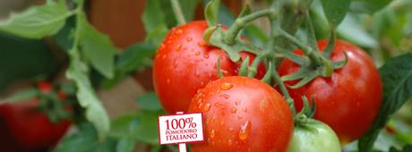 Pomì Italia 100%pomodoro italiano