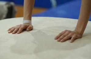 ginnastica artistica - reale ginnastica