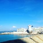 Alla punta del tacco: Puglia coast to coast!