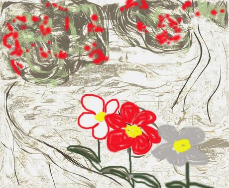 MIRACOLO EVENTO O CASO quinta puntata