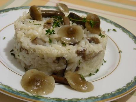 Risotto con funghi famigliole e profumo di timo