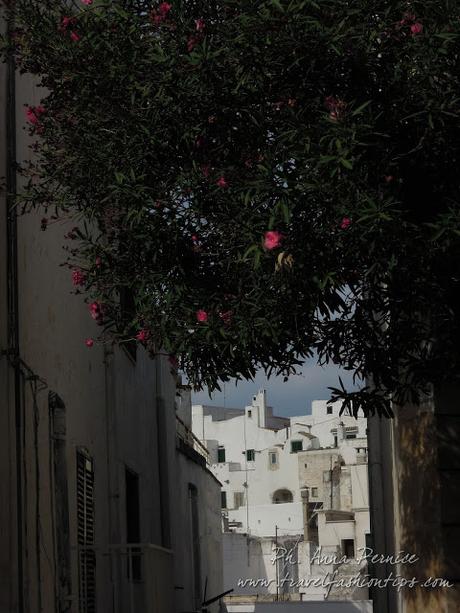 Viaggio in Puglia: Ostuni la città bianca