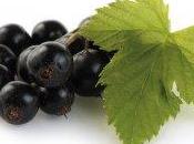 Alimenti guariscono: ribes nero