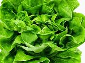 Lattuga, consigli casalinghi